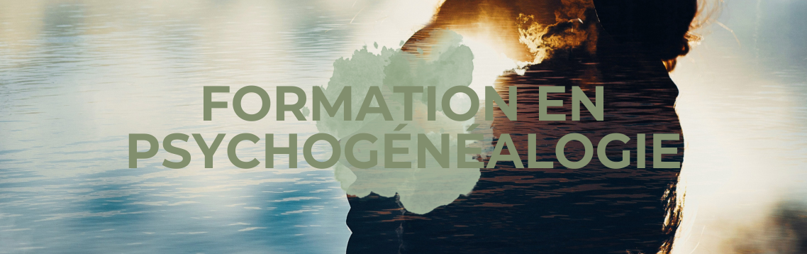 Consultation psychogénéalogie : identifiez les blocages émotionnels hérités. Transformez votre vie et vos relations.